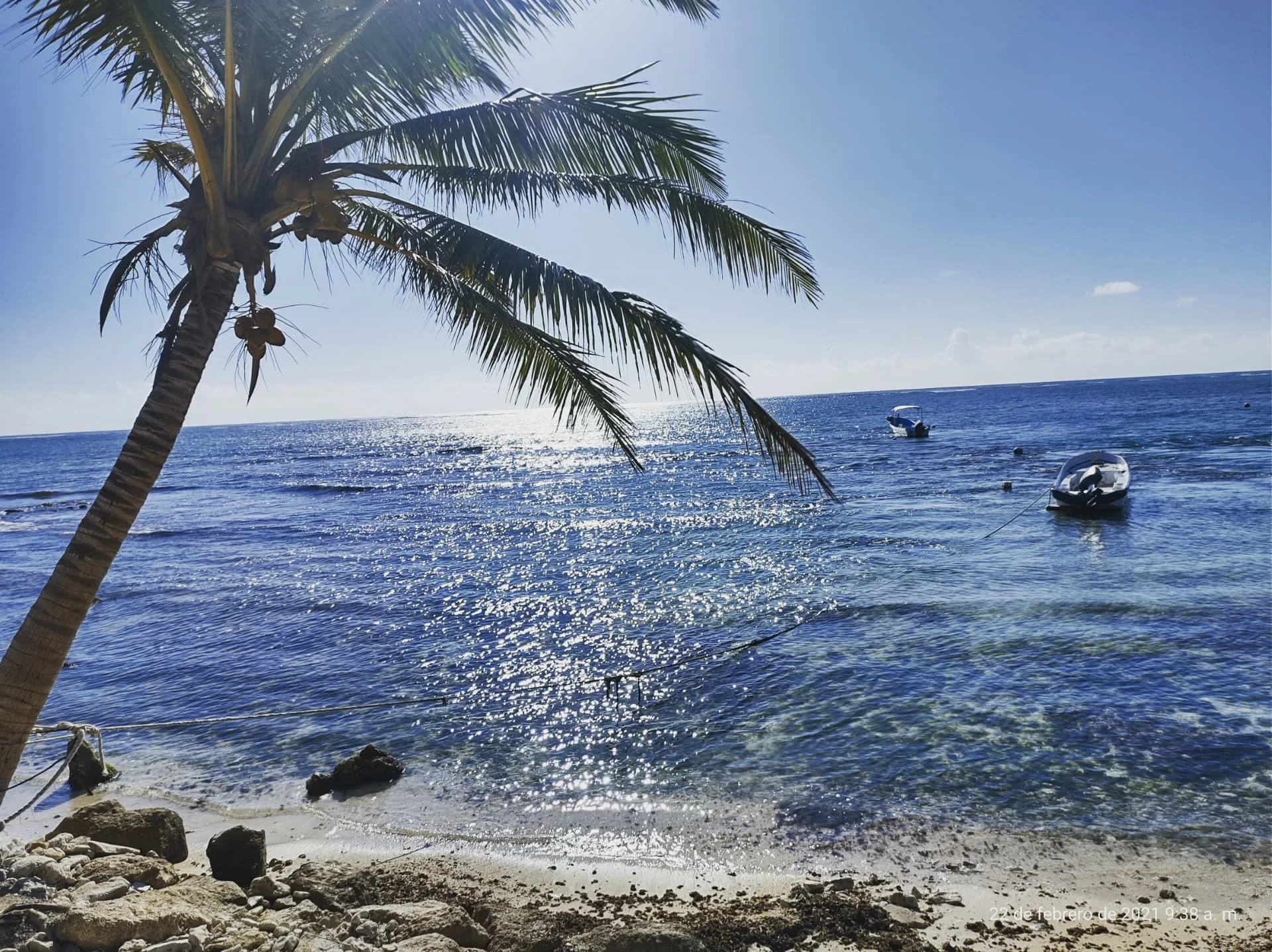 Boats moored along a palm-lined Caribbean shoreline