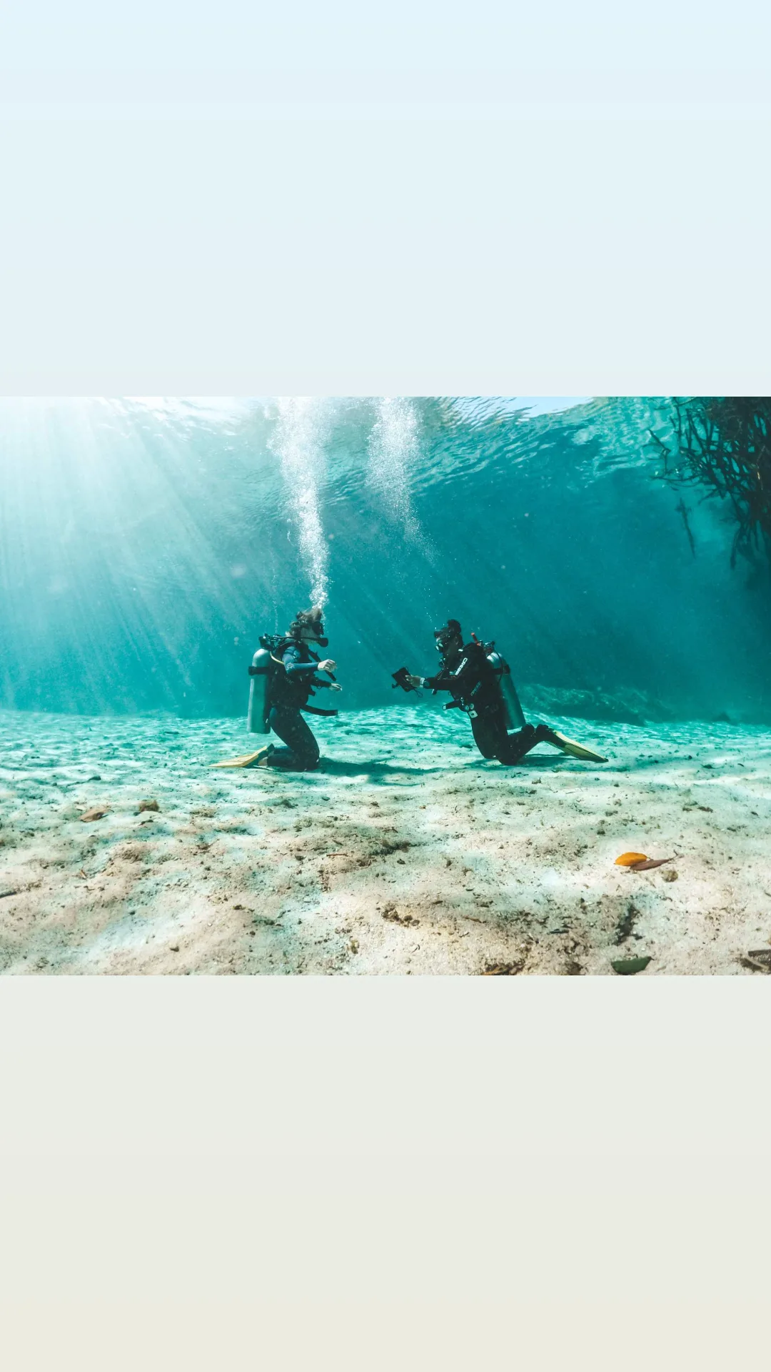 Two scuba divers kneeling face to face on a pale sandy cenote floor beneath sunlit water