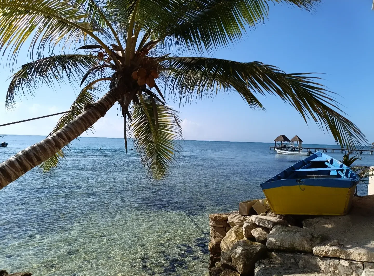 Blue and yellow boat moored beside a palm tree on the clear Tulum coast