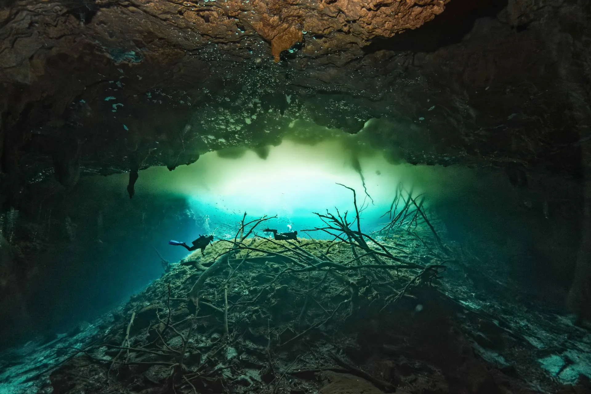 Divers crossing a branch-covered slope below a green-lit opening at Carwash