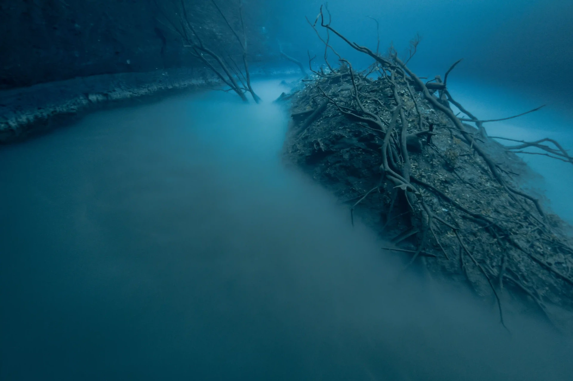 A misty layer of water hanging above submerged branches in a cenote