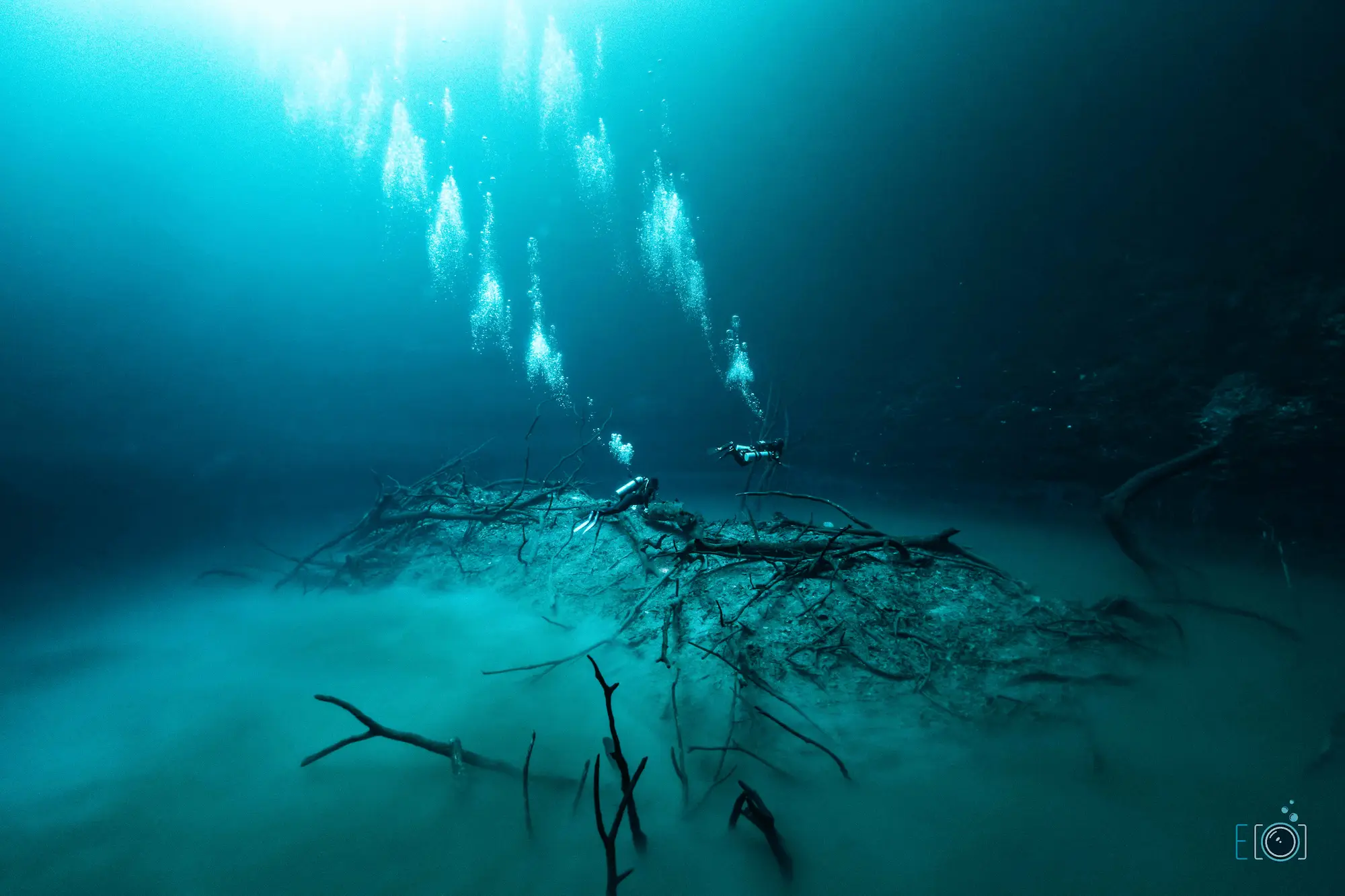 Bubbles rising from divers swimming beneath fallen branches underwater