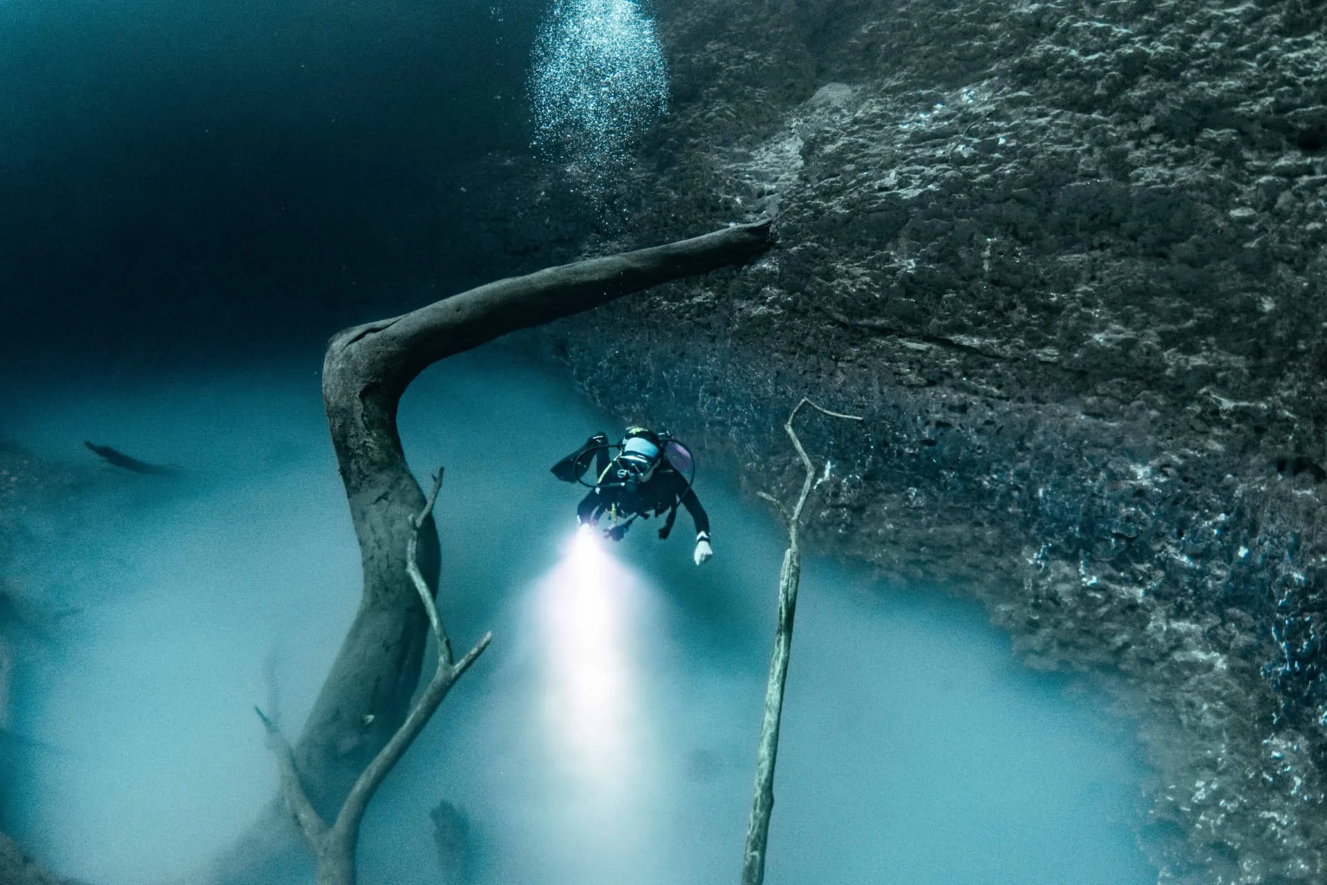 Diver shining a light beside a submerged tree above the cloud layer at Angelita