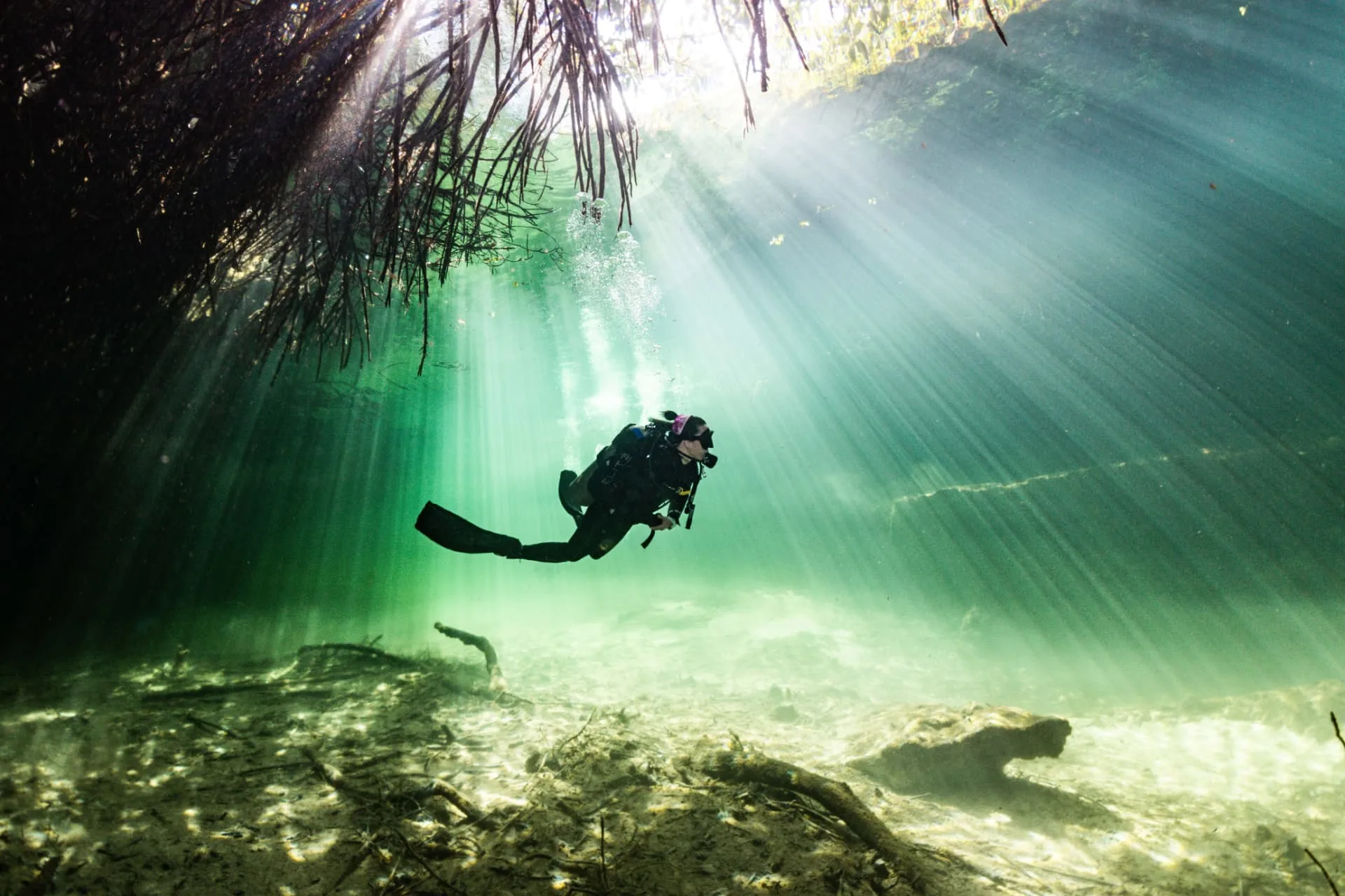 Scuba diver hovering in green cenote water beneath mangrove roots and broad shafts of sunlight