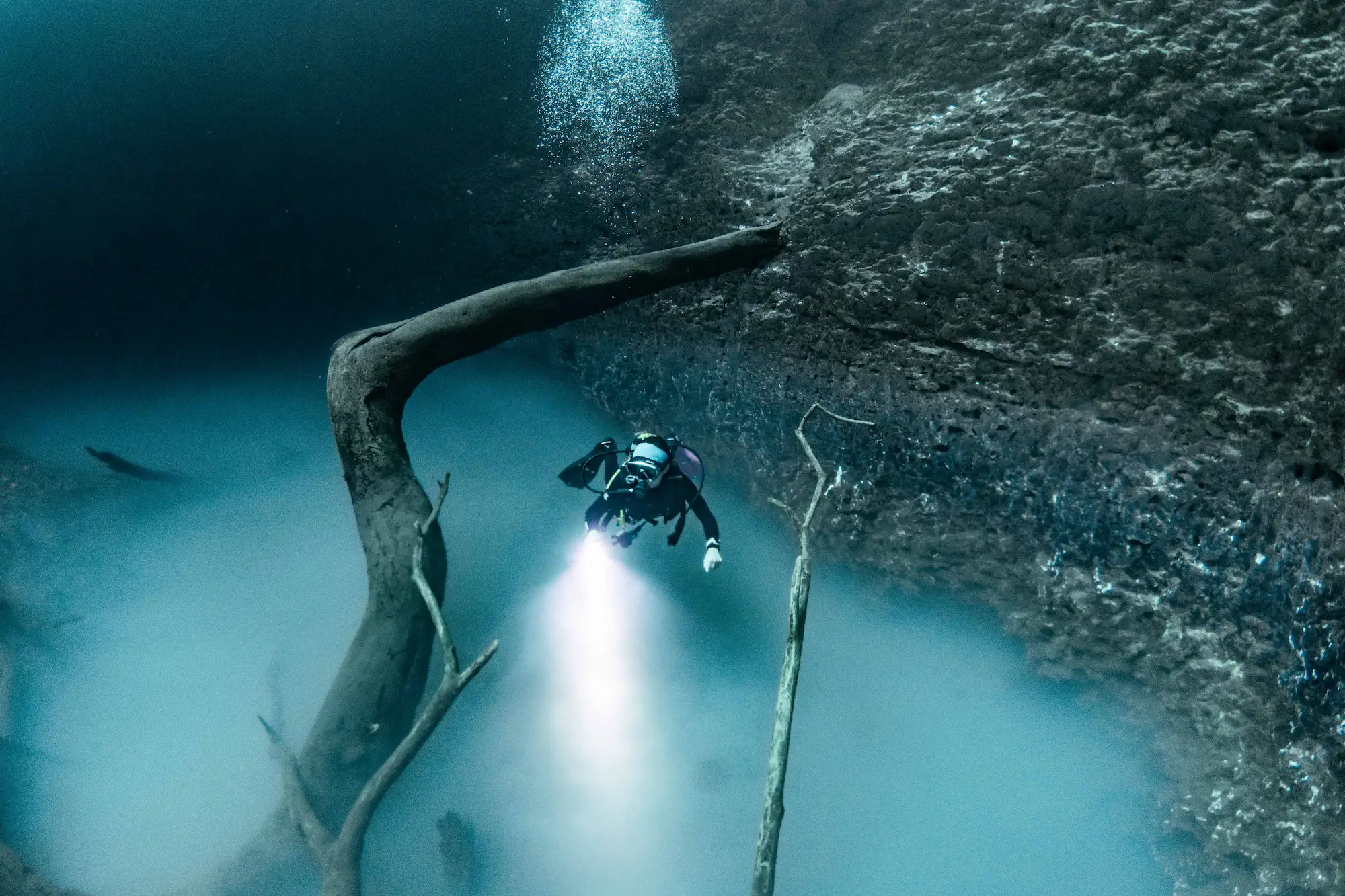 Scuba diver with a bright dive light beside a limestone wall and curved sunken tree in a cenote